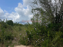 Shamba linauzwa