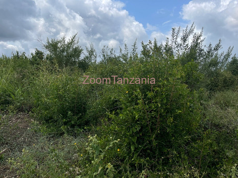 Shamba linauzwa - 6/6
