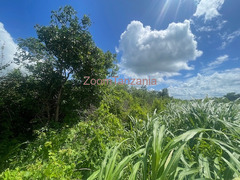 Shamba linauzwa