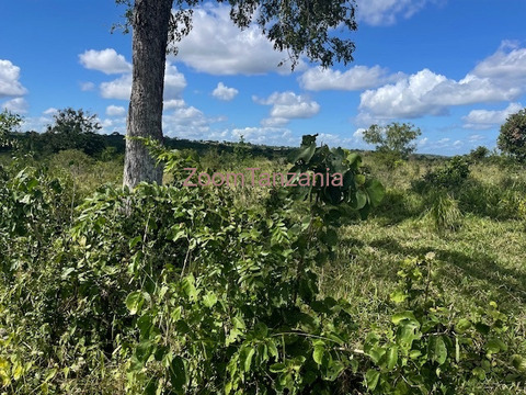 Chalinze shamba linauzwa - 3/6
