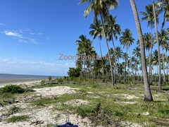 Beach Plort Mkwaja Tanga