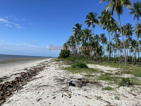Beach Plort Mkwaja Tanga - 6/6