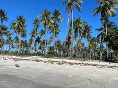 Beach Plort Tanga Sange