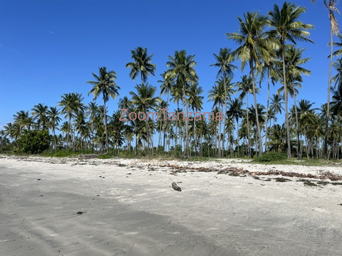 Beach Plort Tanga Sange - 2/6