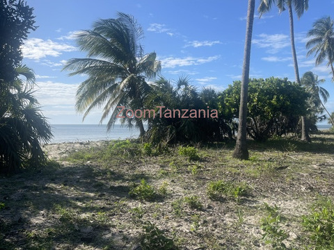 Tanga beach Plort - 2/6