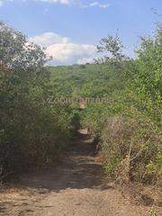 ENEO LINAUZWA LIPO KIWANGWA BAGAMOYO PWANI BEI 500,000