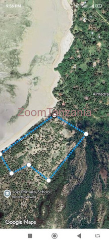 Beach plot 2025 - 1/3