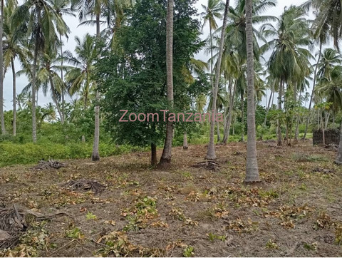Beach plot 2025 - 3/3