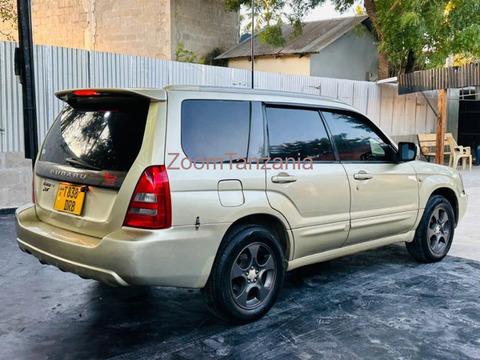Forester.          2005 - 3/6