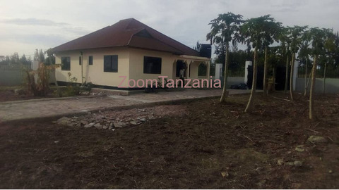 Exceptional Plot with 2 Houses - 2/6