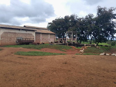 Large scale farm land