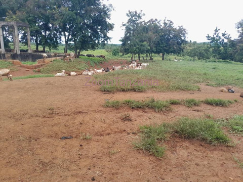 Large scale farm land - 2/6