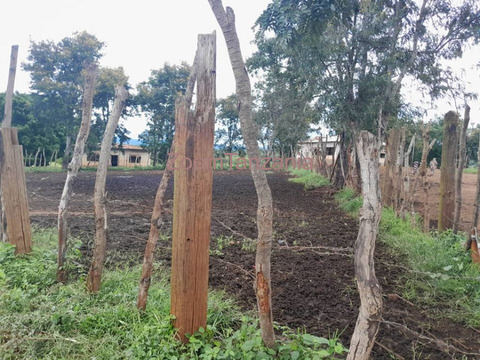 Large scale farm land - 3/6