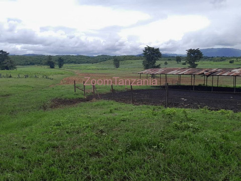 Large scale farm land - 4/6