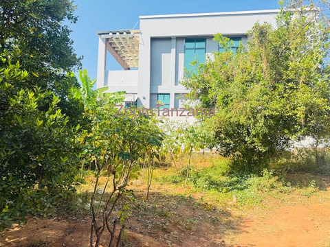 Kiwanja kinauzwa ilemela - mwanza - 3/6