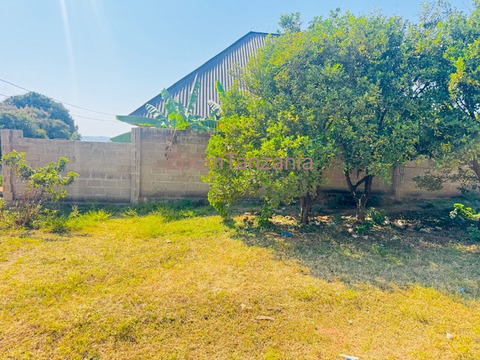 Kiwanja kinauzwa ilemela - mwanza - 5/6