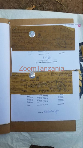 Kiwanja kinauzwa ilemela - mwanza - 6/6