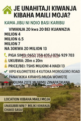 KIWANJA KIBAHA MAILI MOJA 20KWA30 MILION 13