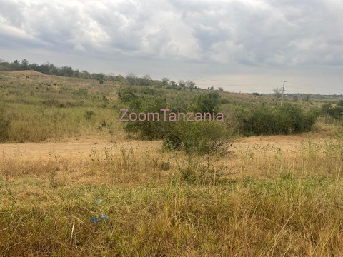 Shamba linauzwa Kiwangwa - 4/6