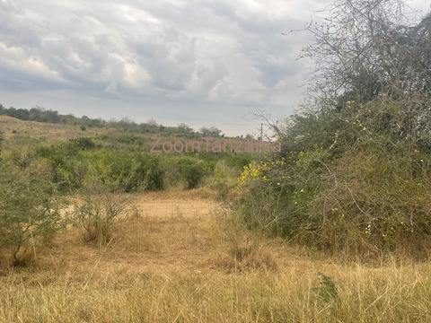 Shamba linauzwa Kiwangwa - 5/6