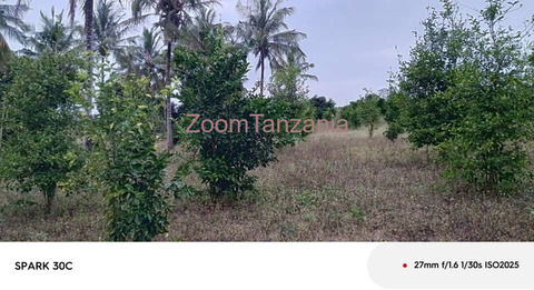 Shamba linauzwa Mbwewe Bagamoyo - 1/3