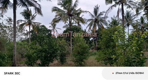 Shamba linauzwa Mbwewe Bagamoyo - 3/3