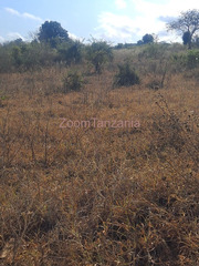 Farm for Sale in Kiwangwa, Bagamoyo Size: 10 Acres