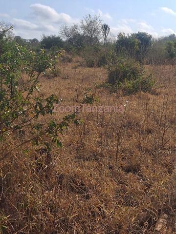 Farm for Sale in Kiwangwa, Bagamoyo Size: 10 Acres - 3/4