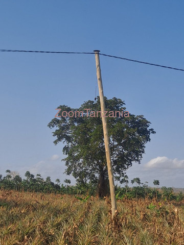 Farm for Sale in Kiwangwa, Bagamoyo Size: 10 Acres - 4/4