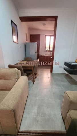 Full Furnished House For Rent in Mbeya - 2/4