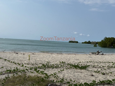 Beach Plot For Sale Bamba Beach, Kigamboni
