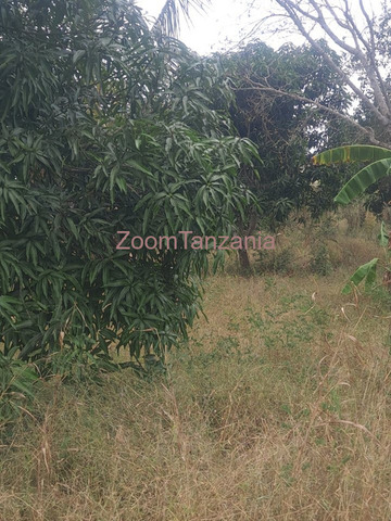 Shamba Eka 2 Kiwangwa Bagamoyo - 3/4