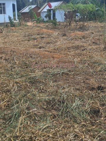 Kiwanja (Mita 20 × 15) Kinauzwa Kiwangwa, Bagamoyo - 3/4