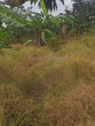 Kiwanja (Mita 20 × 15) Kinauzwa Kiwangwa, Bagamoyo - 4/4