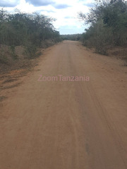 50 Acre Land for Sale in Mbwewe Ward, Pwani
