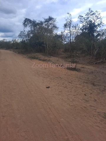 Kiwanja cha Heka 50 Kinauzwa Mbwewe, Pwani - 2/4