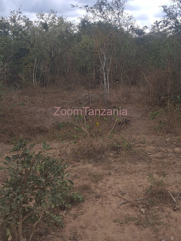 Kiwanja cha Heka 50 Kinauzwa Mbwewe, Pwani - 3/4