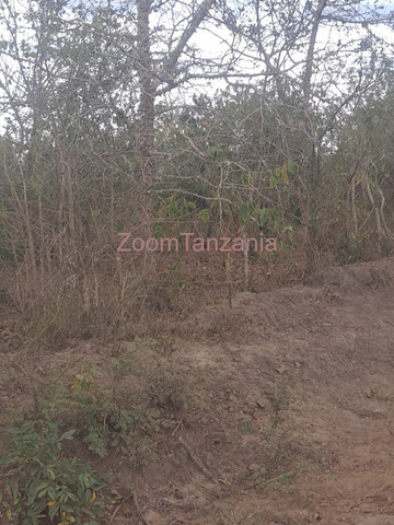 Kiwanja cha Heka 50 Kinauzwa Mbwewe, Pwani - 4/4