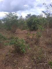 15 Acre Farm for Sale in Kiwangwa, Bagamoyo, Pwani