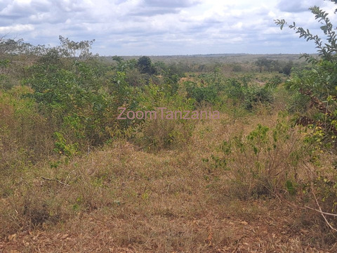 15 Acre Farm for Sale in Kiwangwa, Bagamoyo, Pwani - 4/4