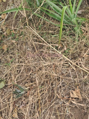 10 Acre Land for Sale in Kiwangwa, Bagamoyo, Pwani