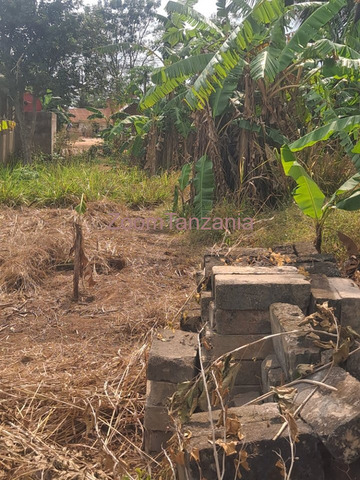 Eneo la Heka 10 Linauzwa Kiwangwa, Bagamoyo, Pwani - 2/4