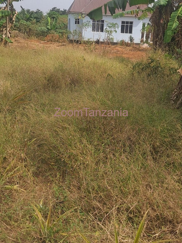 Eneo la Heka 10 Linauzwa Kiwangwa, Bagamoyo, Pwani - 4/4