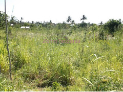 1500 Square Meters Land For Sale Mbeya Town
