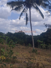 2 Acres Farm for Sale in Kiwangwa, Bagamoyo