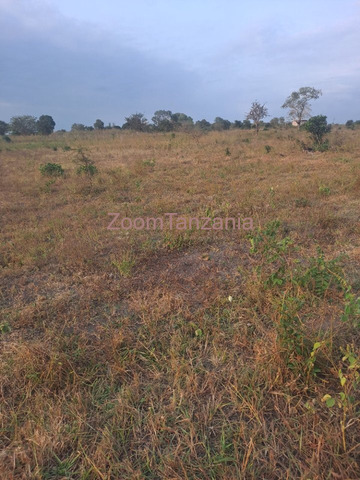 2 Acres Farm for Sale in Kiwangwa, Bagamoyo - 2/4