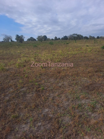 2 Acre Farm for Sale in Kiwangwa, Bagamoyo - 1/4