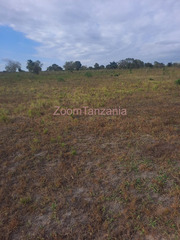 Shamba Eka 2 Kiwangwa Bagamoyo