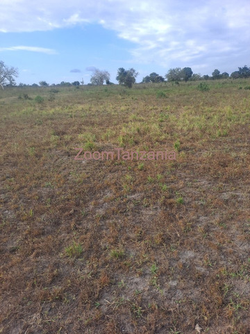 2 Acre Farm for Sale in Kiwangwa, Bagamoyo - 3/4