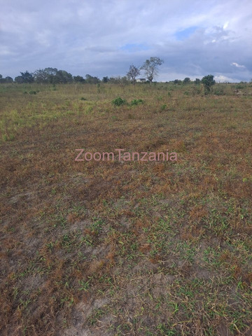 2 Acre Farm for Sale in Kiwangwa, Bagamoyo - 4/4